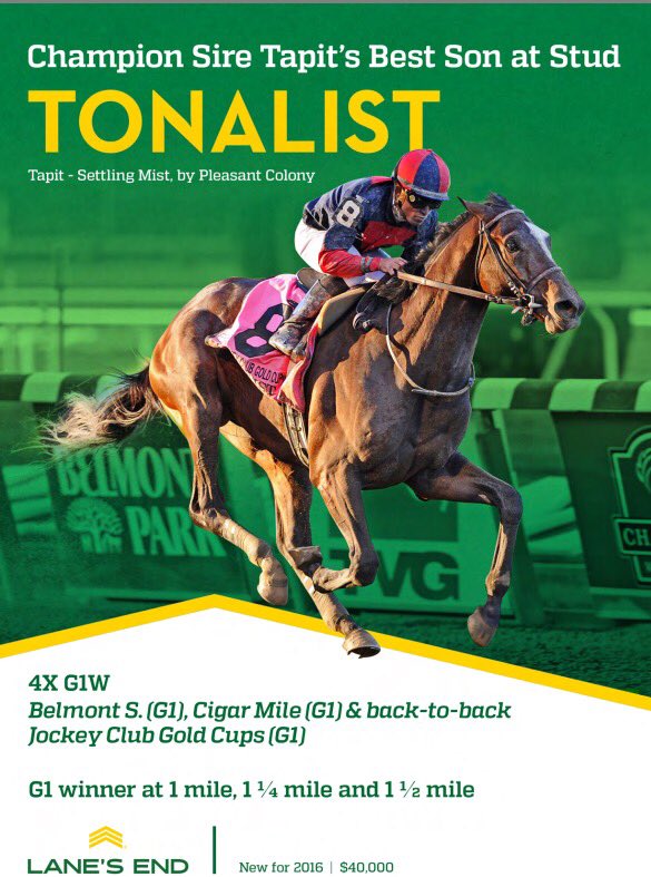 Tonalist tweet media