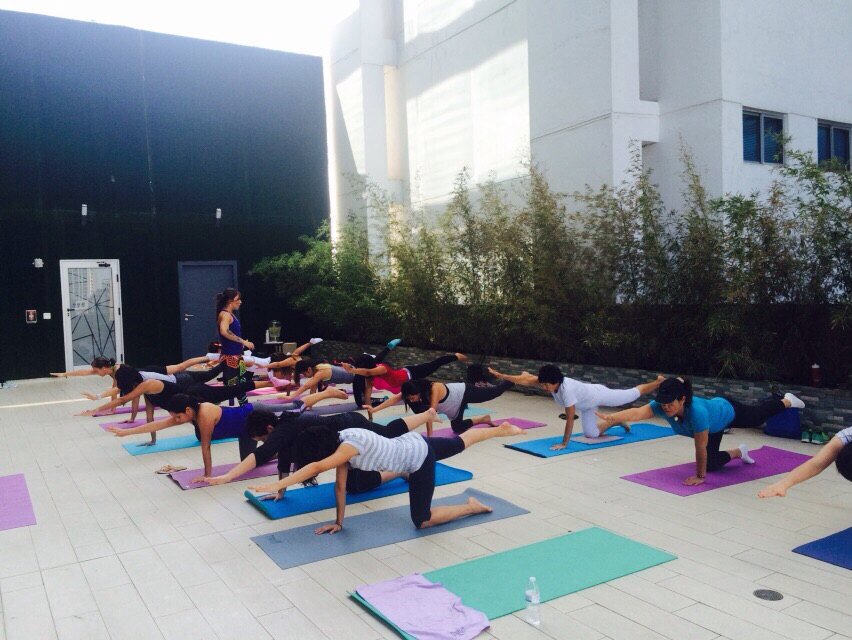 VerdealMaximo's tweet photo. Gracias a los asistentes de nuestra clase de hoy #pilatesVAM gracias a @sortishotel por el espacio la pasamos genial https://t.co/rcNFJZPZYZ