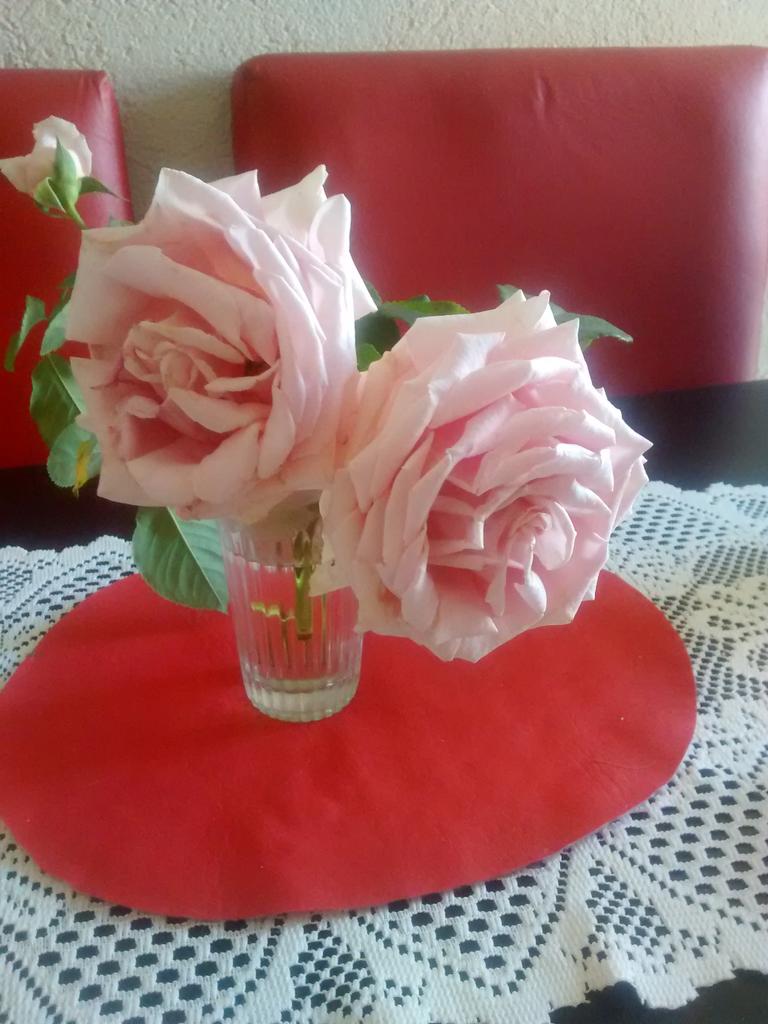 Patri1900 tweet picture