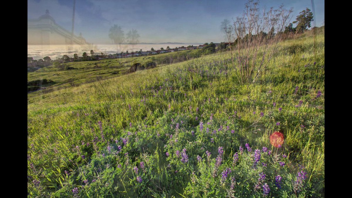 LA PÉPITE DU SOFA | Aujourd'hui la pépite est signée par Marlena Shaw avec "California Soul… buff.ly/1RiQ1Cb