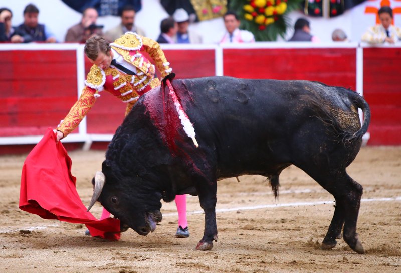 InfoPayo's tweet photo. El día de ayer en León Gto. @elpayo_ cortó 1 Oreja en la Tradicional Corrida Guadalupana 📷EMéndez https://t.co/q2S63T63Z5