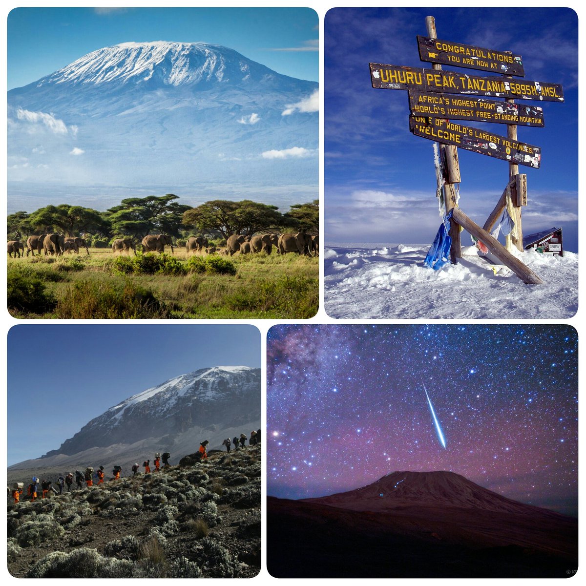 YoungJennie's tweet photo. 66 days until we go a climb #kilimanjaro for @CR_UK  #nervous https://t.co/yuLT0GXbyH