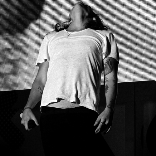 xthankyouharryx tweet picture