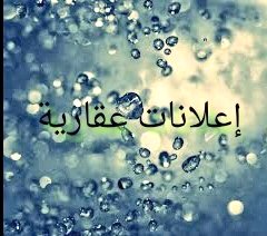 mem98216630's tweet photo. https://t.co/FyDP8pge4a