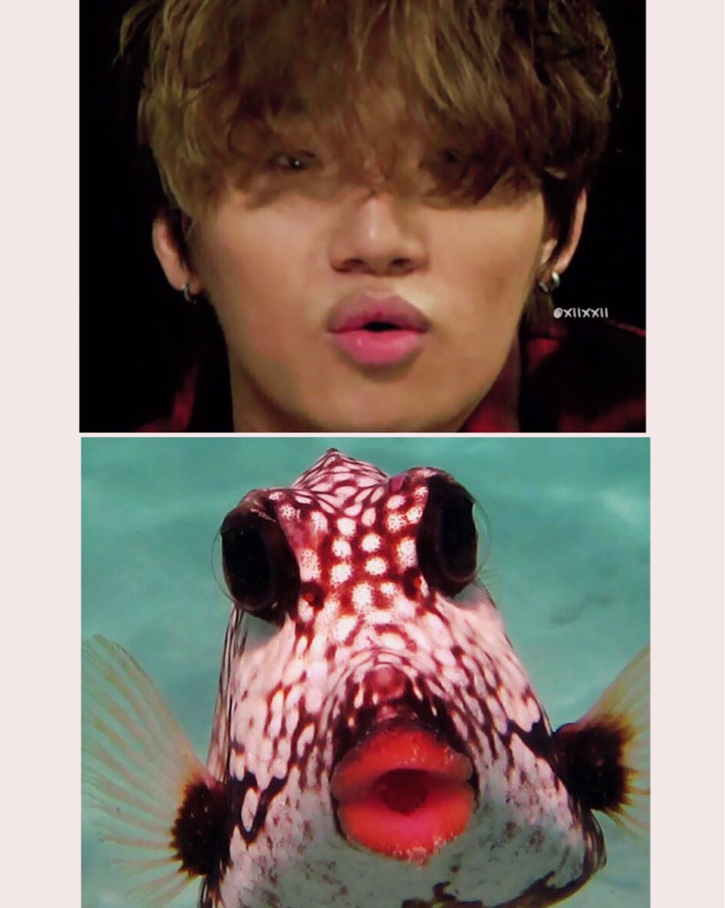 xiixxii_g's tweet photo. ππ #dlite #daesung #unclefish https://t.co/xfnrVLbhAa