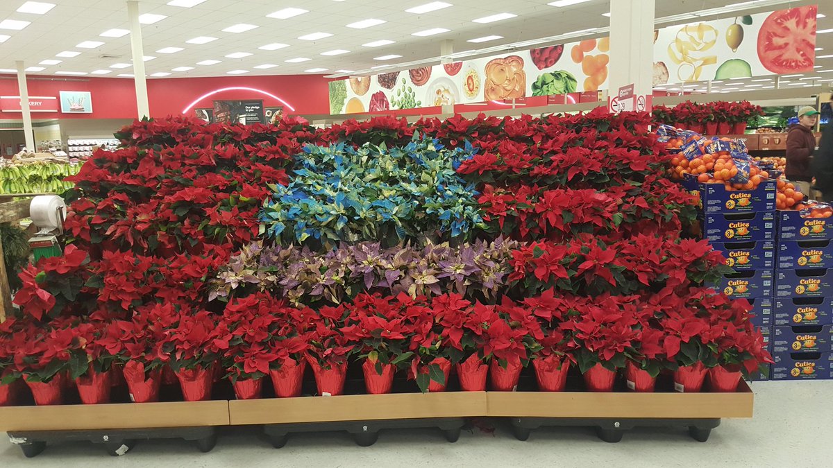 2193 creating the WOW factor
<a href="/schzacj/">Zach schmidt</a> <a href="/NickNguyenTG/">Nick Nguyen</a> <a href="/ButrynMatt/">matt butryn</a> @TodMiller0925 <a href="/Tina_M_Tyler/">Tina</a>