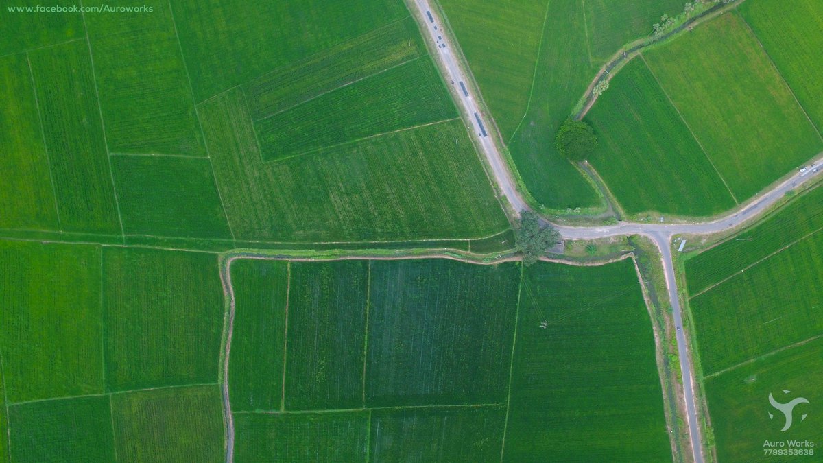 auromediahouse's tweet photo. Green Fields near Emani Village Tenali ....isnt it looking like a painting ;)
#patterns #Aerialclick https://t.co/JWC9fVDXaB