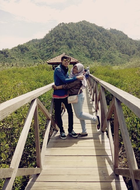YuniArysta's tweet photo. Mangrove https://t.co/1sxUWYQ1jE