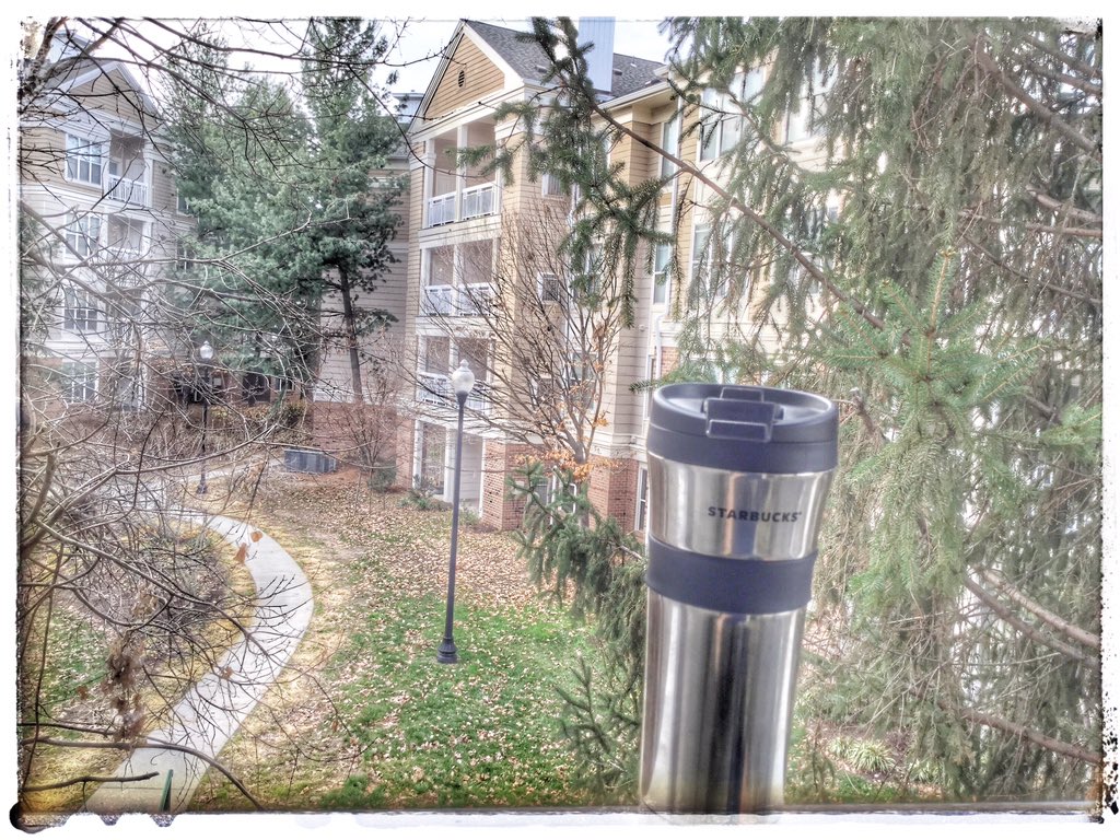 BruceHigginsJr's tweet photo. Enjoying fresh roasted French Press Guatemalan @elInjertoCoffee on my deck this morning #WarmDecember #XmasInSpring https://t.co/smSy3o4moL