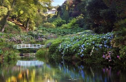 ILoveCornwallUK tweet picture