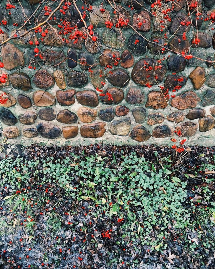 sayuri678's tweet image. #designseeds