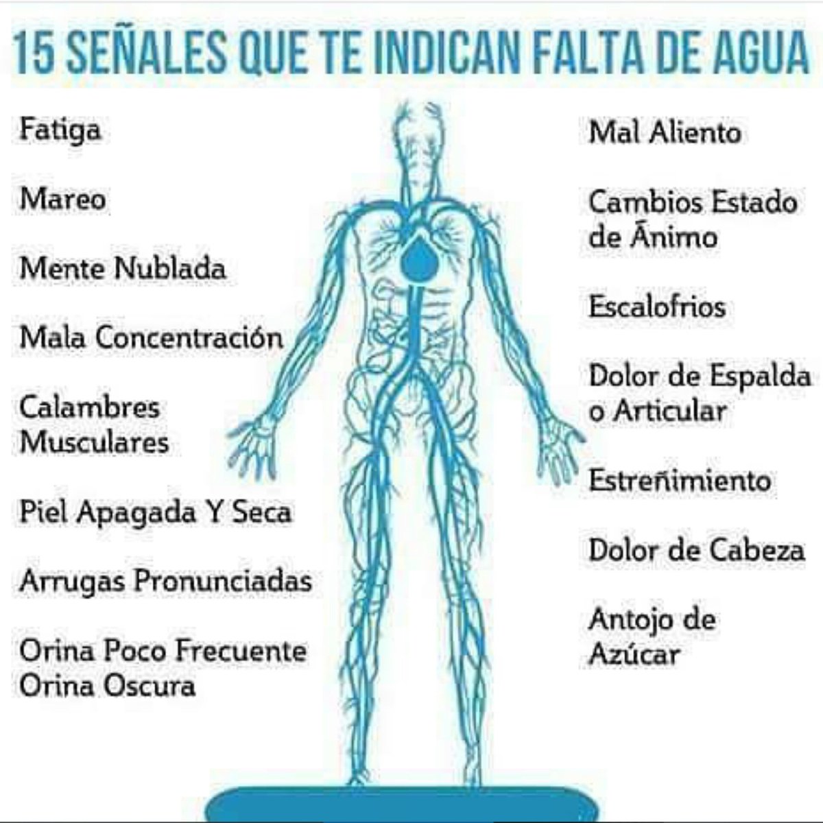 Carmencita6297's tweet photo. "@NutriologoGiron: 15 señales de falta de agua https://t.co/Ypg4g6X6N4" @diegoGM_96  ME FALTA AGUA