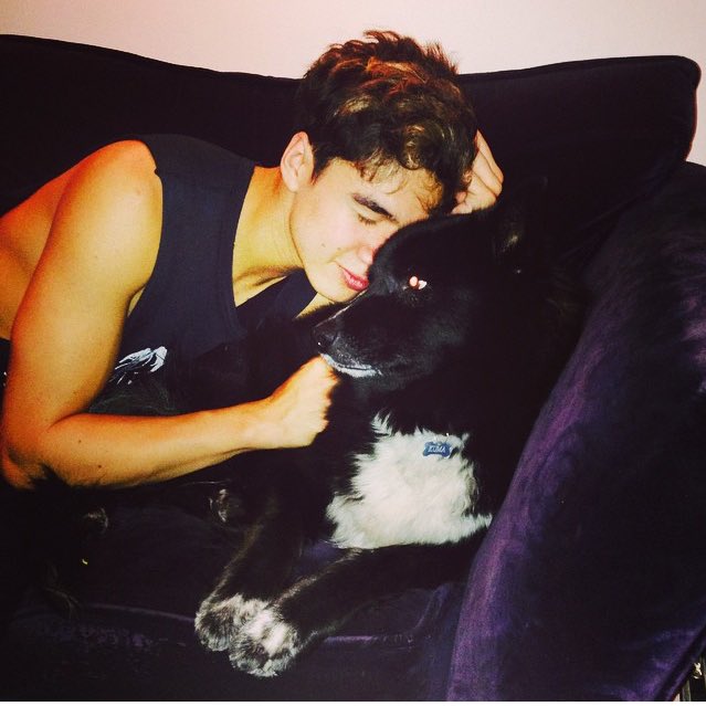 Costa_r4s's tweet photo. calum with dogs is my aesthetic https://t.co/1vgZfGbPdX