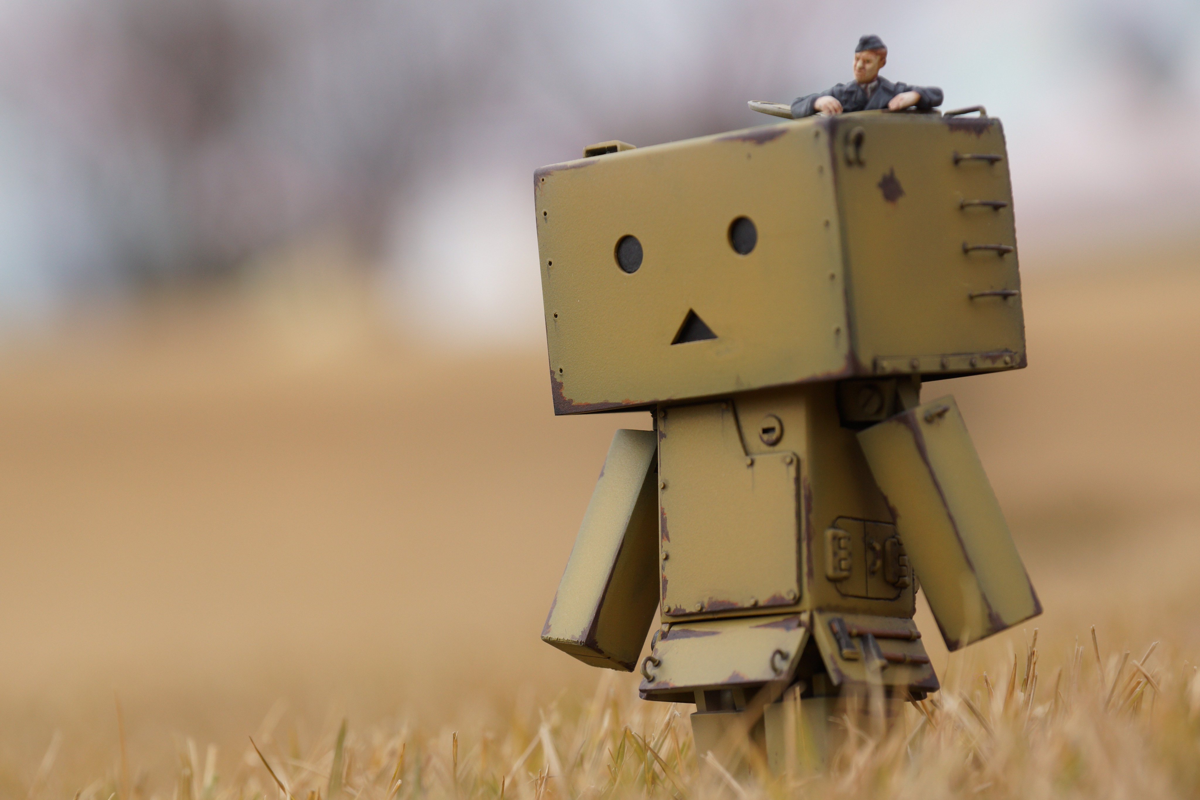 ダンボー写真bot Danboobot Twitter