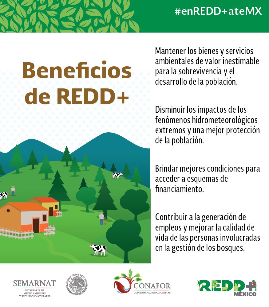 CONAFOR's tweet photo. #REDD+ tiene como objetivo lograr la reducción de emisiones derivadas de la deforestación  y degradación de #Bosques https://t.co/Pi6oOzsMvt