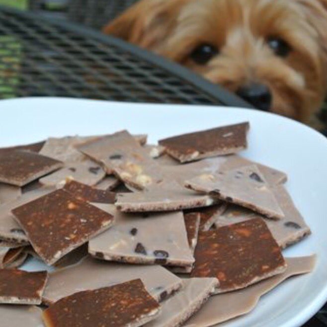 Juanalop86's tweet photo. RT 🎅🏻🎄LOS PELIGROS DE LA COMIDA NAVIDEÑA PARA LOS PERROS 🎄🐶https://t.co/4gXJiivIyc #dankrofttips #navidad #mascotas https://t.co/iKbVAbAech