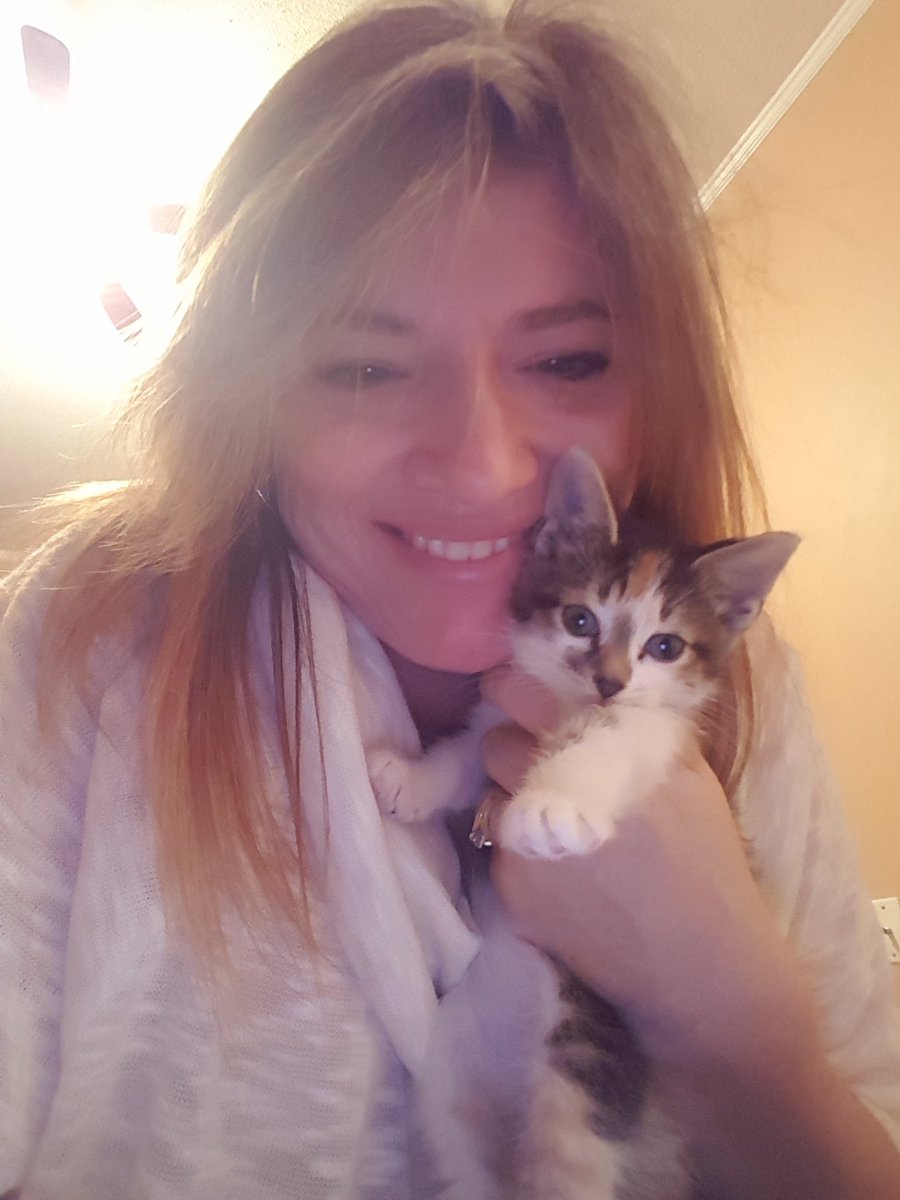 jackie041972's tweet photo. Merry Christmas to me. #Happiestgirl # kittenlove  #Christmas2015 https://t.co/3E8Pigd1dX