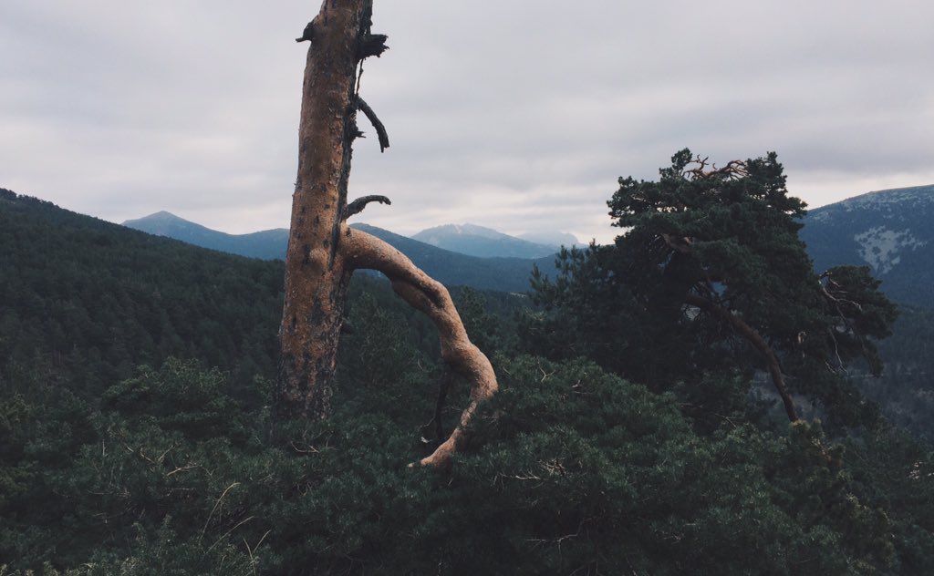 ritxiostariz's tweet photo. Morning hiking mountains #Pasapan #Segovia https://t.co/aNE9cjNdod