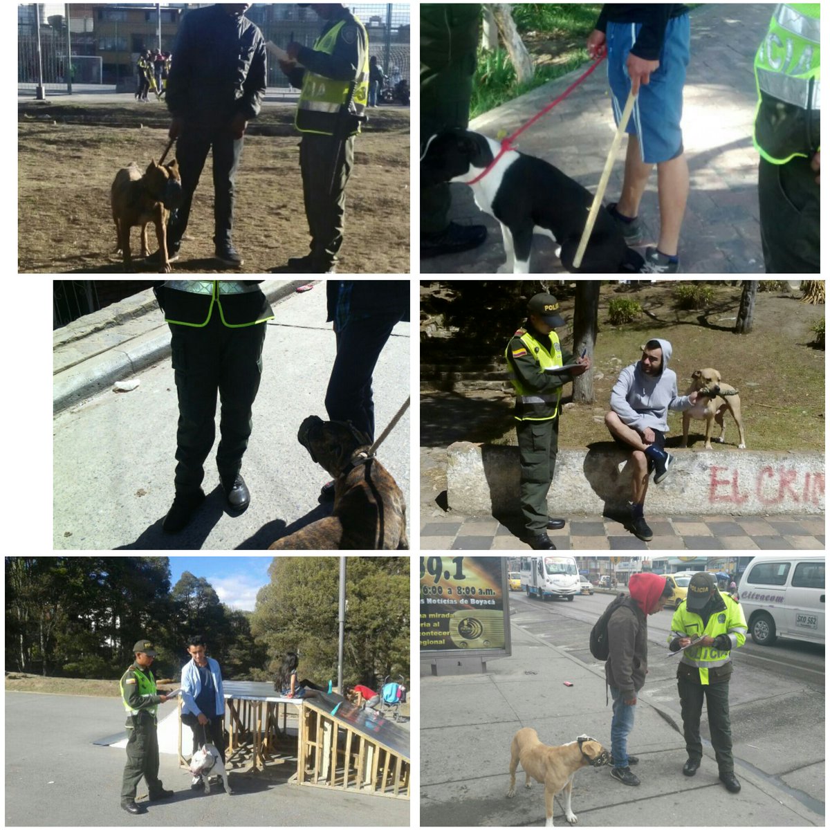PoliciaMTunja's tweet photo. Policía Ambiental socializa en barrios de #Tunja ley 746 que regula la tenencia de caninos potencialmente peligrosos https://t.co/pUx3TxIp27