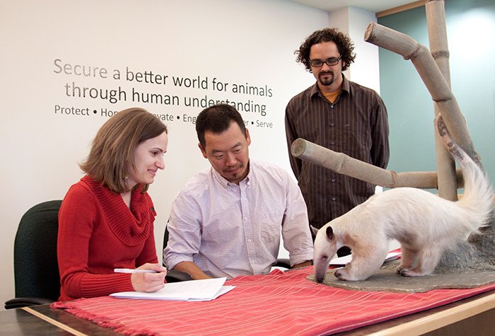 Find out about Denver Zoo’s master’s program <a href="/ShannonBlock/">Dr. Shannon Block</a>’s CEO blog bit.ly/1Z48KTc #LoveToLearn #AIP