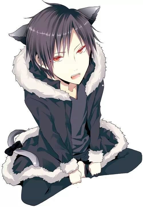 catboys_bot's tweet photo. https://t.co/FGtGl46pse https://t.co/IZhVjFvjUm