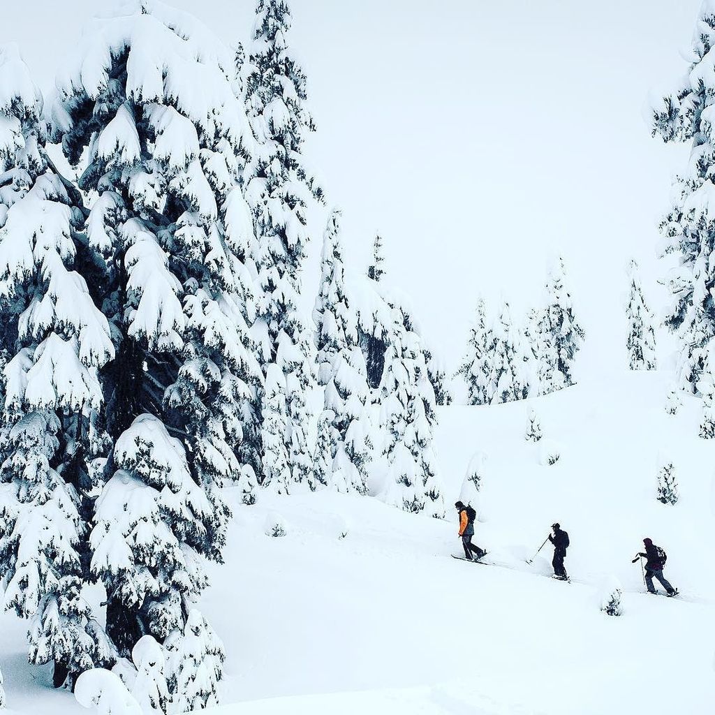 Northwest Tech tweet media