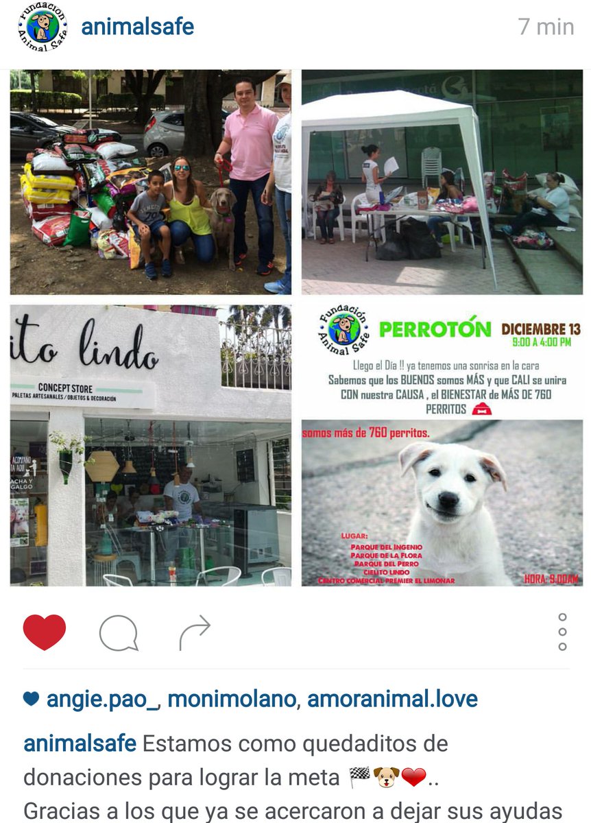 FundaAnimalSafe's tweet photo. Aun nos falta mucho para llegar a la meta! Hoy #perroton en #calico !!! Te esperamos hasta las 4pm https://t.co/hwWiQc3t6E