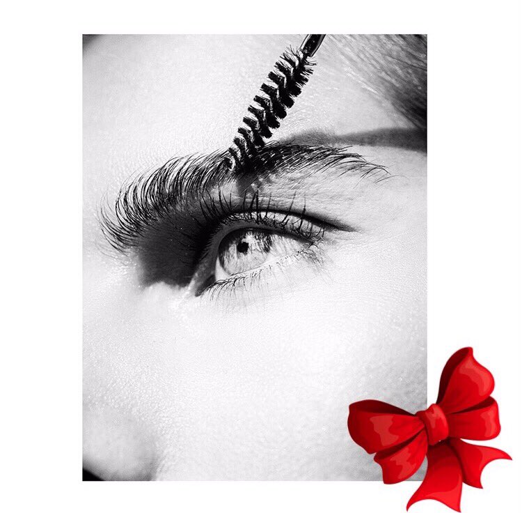 Do you know someone who needs Brow Rehab or just a reshaping? Set them up with the gift of brows! Call 310.205.2600.