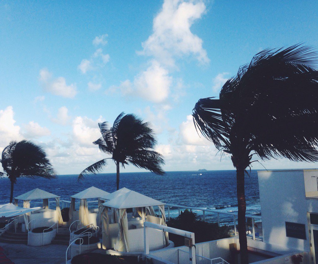 perksofwanderer's tweet photo. the view from my hotel room here is beautiful 🌴 off to key west tomorrow! #travel #beach #sun https://t.co/KSyZS54i6d