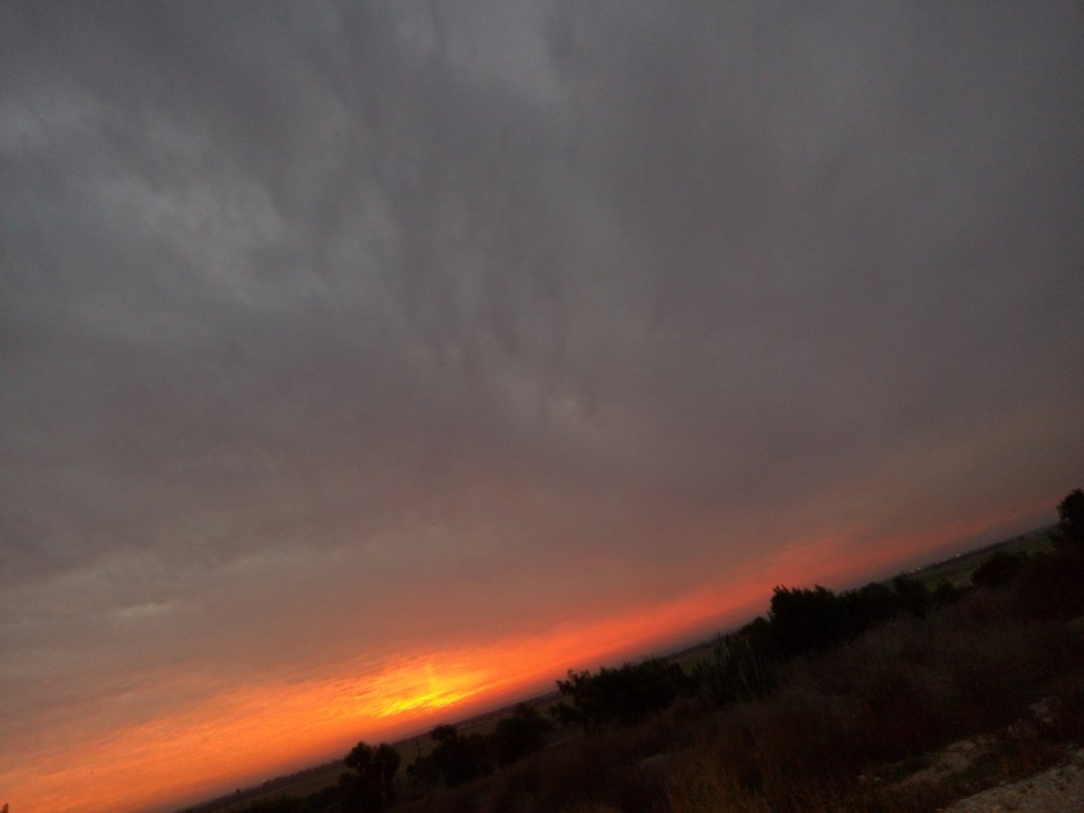 naamayoffe tweet media