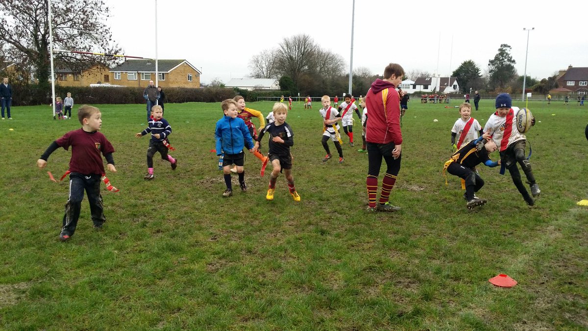 NicolaAdlam's tweet photo. @OldCryptiansRFC #rugbyfuture #rugbyfamily #oldcryptians #minirugby https://t.co/DjNPM1CzQe