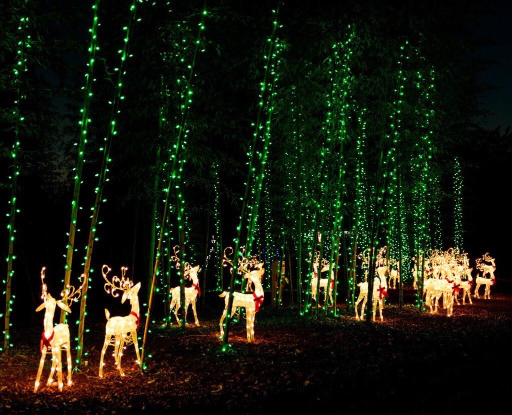 Visit Savannah tweet media