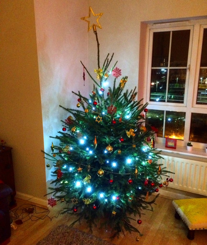 FarrallAndFez's tweet photo. Christmas is finally on its way! Thanks for the #Christmastree @ForestryCommEng #delamere https://t.co/BQIOpbkWN9