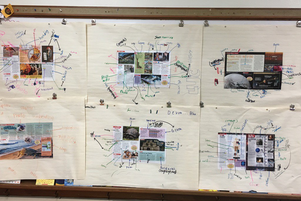 MrsTerranella3's tweet image. Final products! Teamwork makes the dream work when locating text features. #CarouselLearning @timeforkids #isdstrong