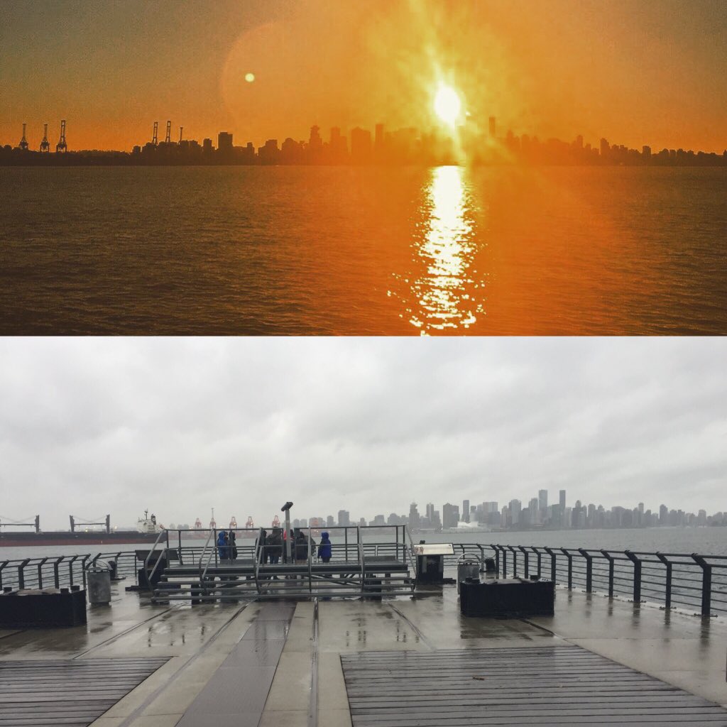 siobhanisblyss's tweet photo. #scout vs. #reality https://t.co/rqjETGb58W