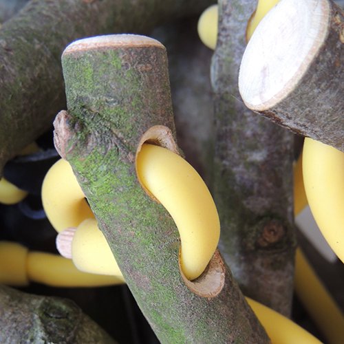 treehooktrook's tweet image. 