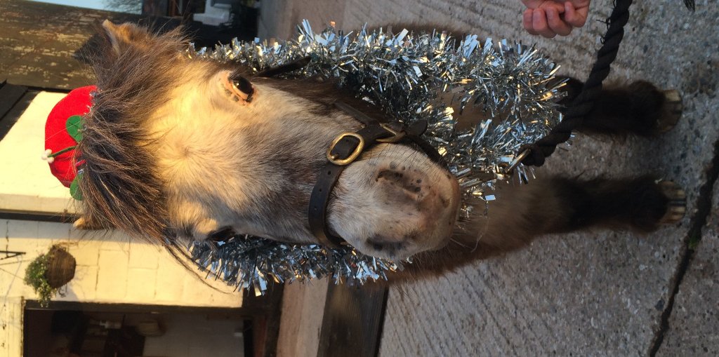 Thankyou for your support💐 <a href="/tailendjewel/">Tail End Jewellery</a> @BigVinylArt <a href="/bucasblankets/">Bucas Blankets</a>  really appreciated 😊