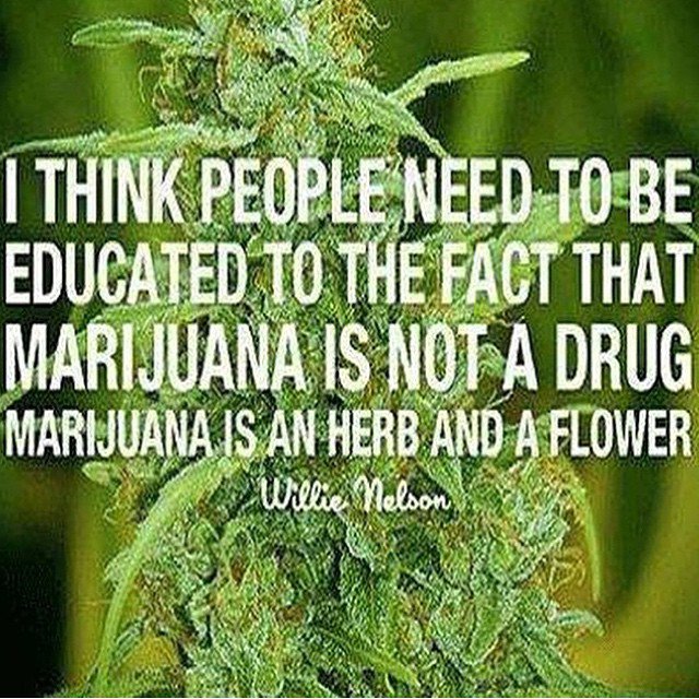 Only about 9% of marijuana users become clinically dependent. Alchol is 89% #HempLife