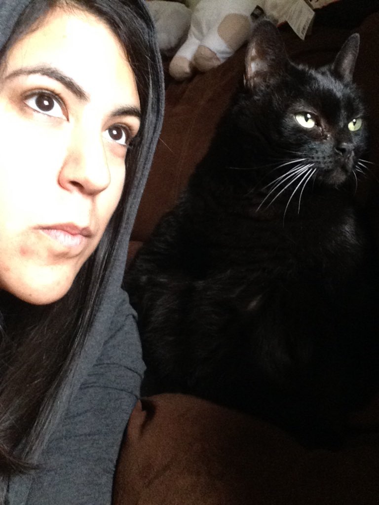 EpicMagster's tweet image. #CatSelfies #Midnight #SameExpression #Meow 😺😻❤️