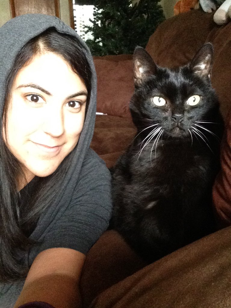 EpicMagster's tweet image. #CatSelfies #Midnight #SameExpression #Meow 😺😻❤️