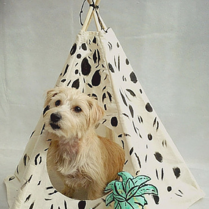 Barking_Rad's tweet photo. Love your #dog? Give them a unique place to call home for #Xmas. Pop one under the tree now https://t.co/r5P3K6zH4z https://t.co/77lySspKZY