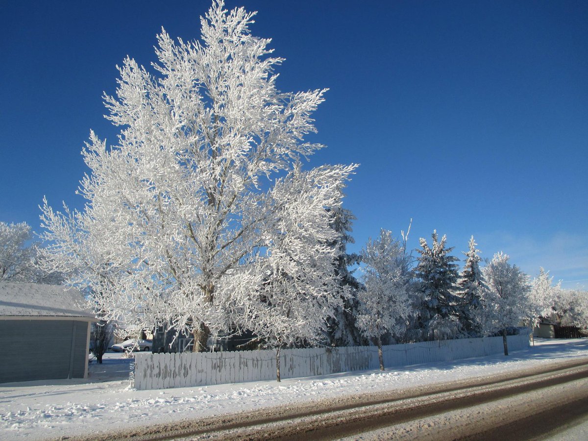 CBCSask's tweet photo. Land of the Living Skies vs Land of the Falling Snow.

Photos by Christina and Ken Durocher in Eston, Saskatchewan. https://t.co/DnDSjAzNrj