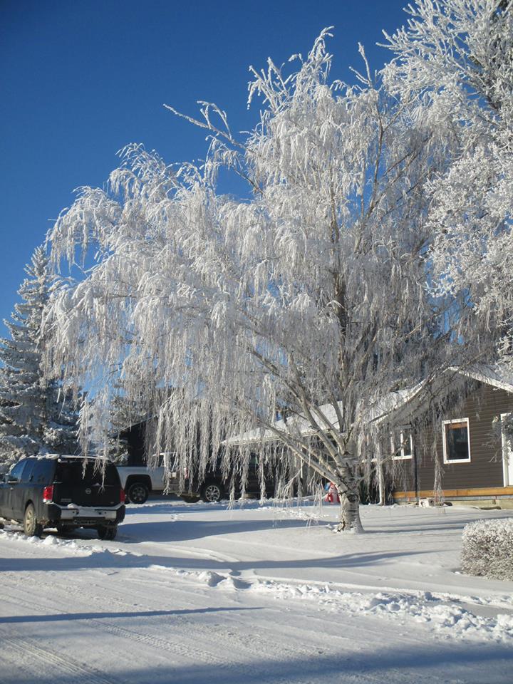 CBCSask's tweet photo. Land of the Living Skies vs Land of the Falling Snow.

Photos by Christina and Ken Durocher in Eston, Saskatchewan. https://t.co/DnDSjAzNrj