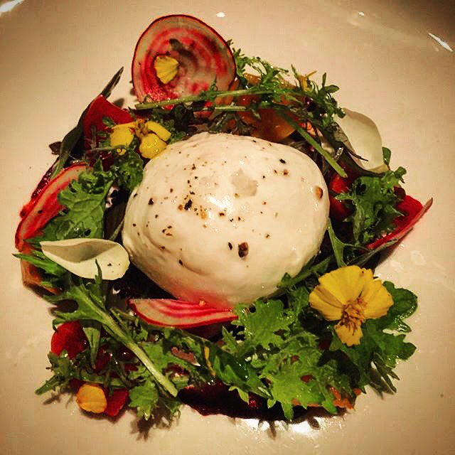 The perfect #balance of rich &amp; light: red beet, creamy #burrata, cherry, and espresso crumble.