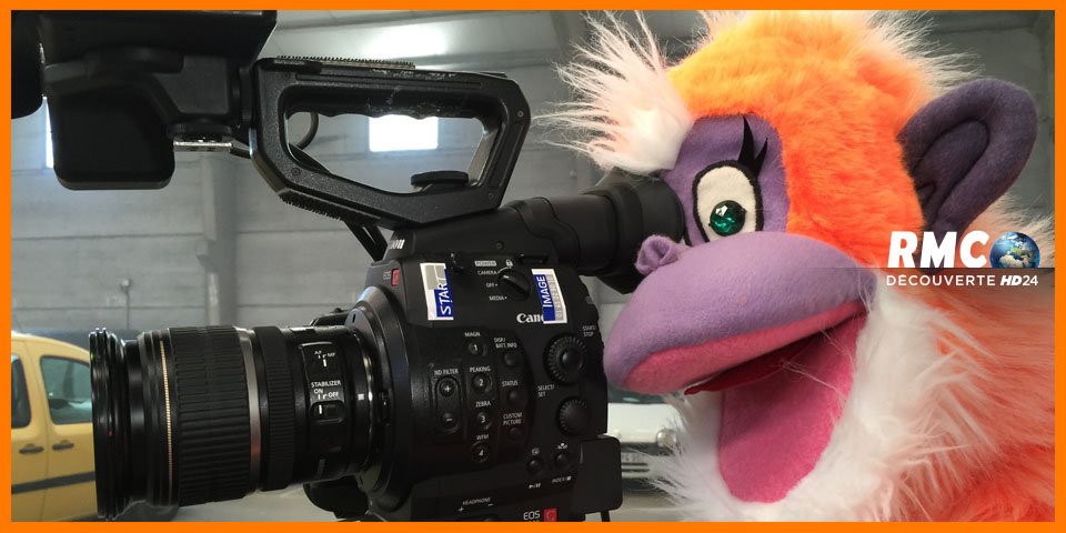 RMCDecouverte's tweet photo. On vous présente l'équipe de production #EncheresMadeInFrance #RMCDécouverte @mediafisherprod https://t.co/hdmg51142A