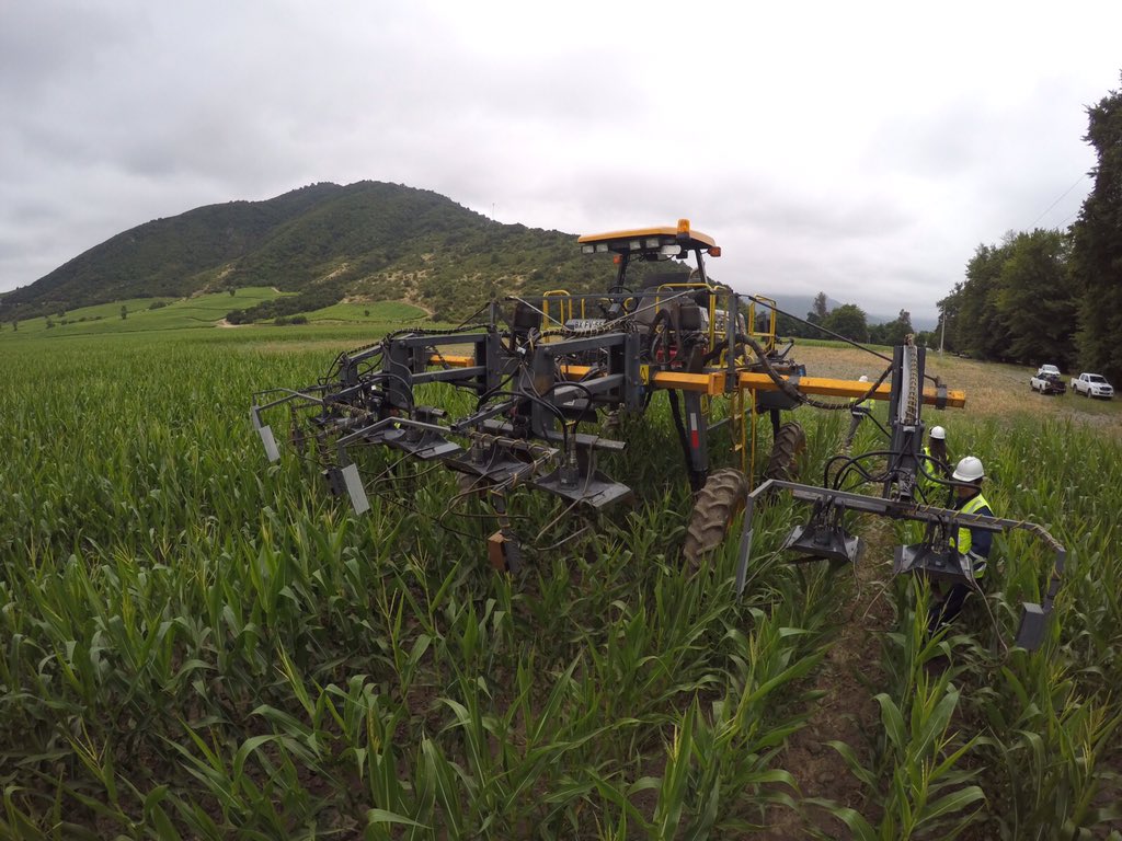 Servimaksa's tweet photo. Inicio temporada #DespanojeMecanizado #MonsantoChile @luistoroc @jcfuentesb @JLGuardaW @TroncosoAlan @MBaldovino71 https://t.co/2y8RvpLBvi