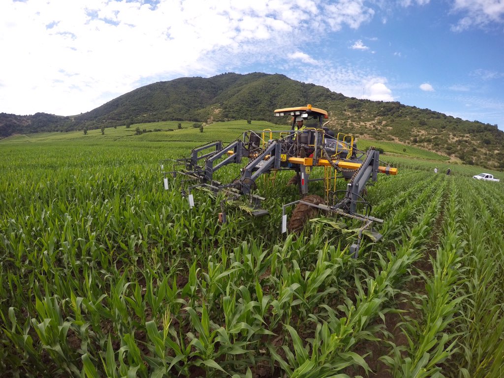 Servimaksa's tweet photo. Inicio temporada #DespanojeMecanizado #MonsantoChile @luistoroc @jcfuentesb @JLGuardaW @TroncosoAlan @MBaldovino71 https://t.co/2y8RvpLBvi