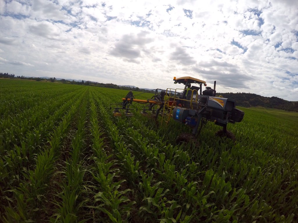 Servimaksa's tweet photo. Inicio temporada #DespanojeMecanizado #MonsantoChile @luistoroc @jcfuentesb @JLGuardaW @TroncosoAlan @MBaldovino71 https://t.co/2y8RvpLBvi