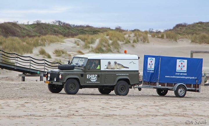 Zeehonden op weg naar hun vrijheid. Opgevangen en nu volledig hersteld. Samenwerking verschillende organisaties.