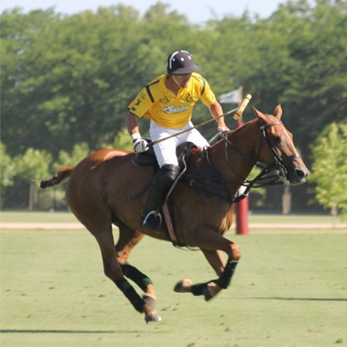 PrisaPolo's tweet photo. Miramar - Fiesta sobre Ruedas PRIMER FINALISTA Copa CAMARA de DIPUTADOS venciendo a La Quinta 11 - 10. https://t.co/VBsYb1DOhH